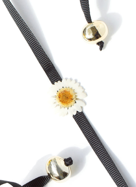 REAL FLOWER! White Daisy Ribbon-tie Choker Necklace